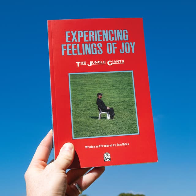 Experiencing Feelings of Joy — The Jungle Giants