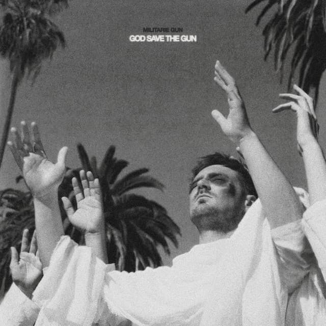 God Save The Gun — Militarie Gun