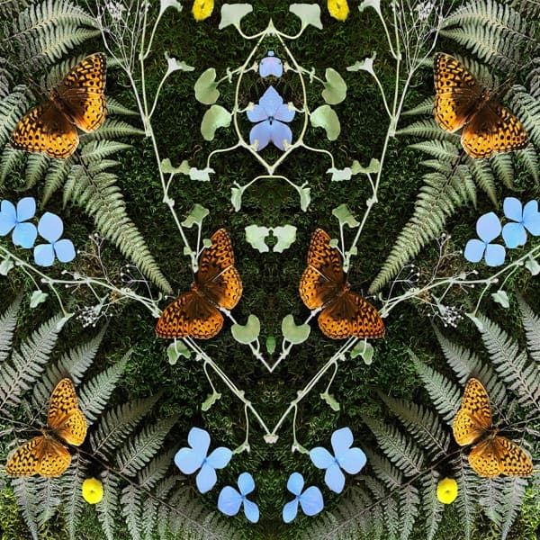 aubades — Jean-Michel Blais