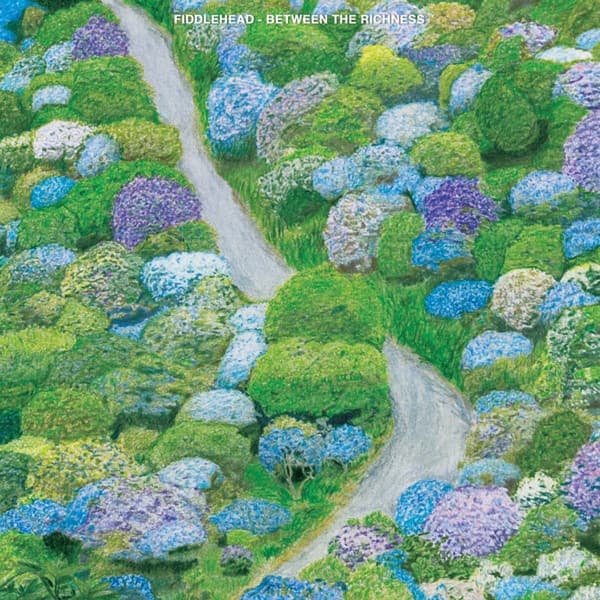 Between the Richness — Fiddlehead